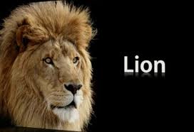 OS X Lion Release Date